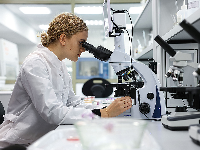 Faculty of Medicine and Biology